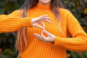 International Day of Sign Languages