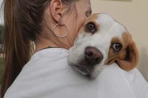 Hug Your Hound Day