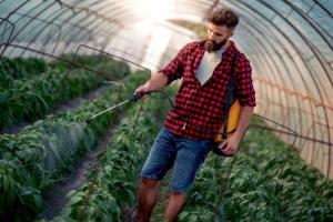 Produce Misting Day