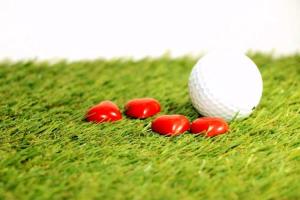 Golf Lover's Day