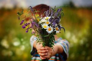 Do Something Nice Day