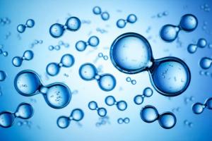 Hydrogen Fuel Cell Day
