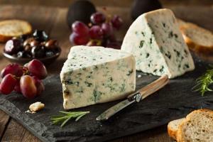 Moldy Cheese Day