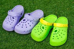 Croc Day