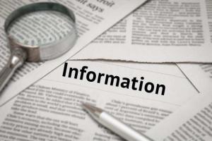 World Development Information Day