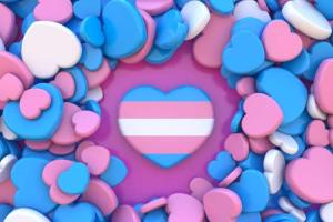 Transgender Children Day