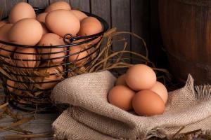 World Egg Day
