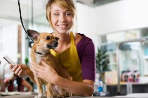 Pet Groomer Appreciation Day