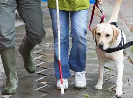 Guide Dog Day