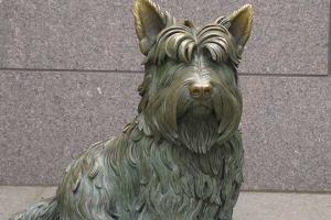 Dog Memorial