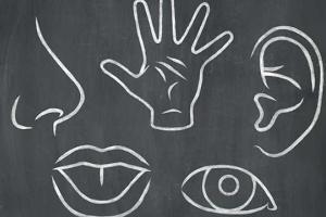 Celebration Of The Senses Day