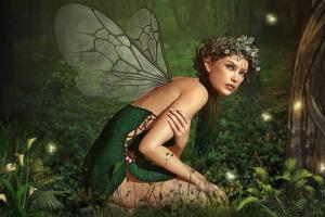 Fairy Day
