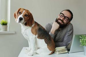 Take your Dog to Work Day