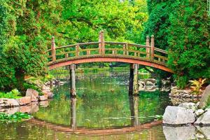 Garden Meditation Day