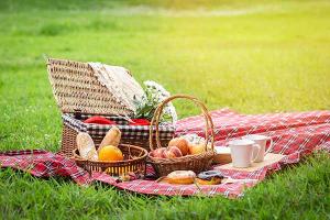 Picnic Day