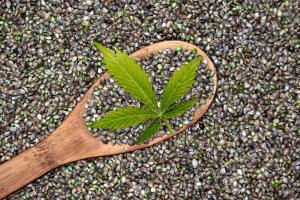 International Hemp Day