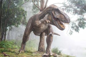 Dinosaur Day