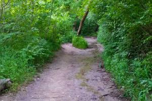 Trails Day