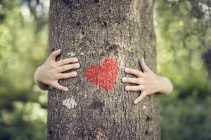 Love a Tree Day