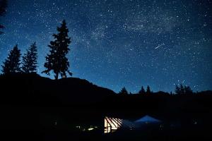 Meteor Watch Day